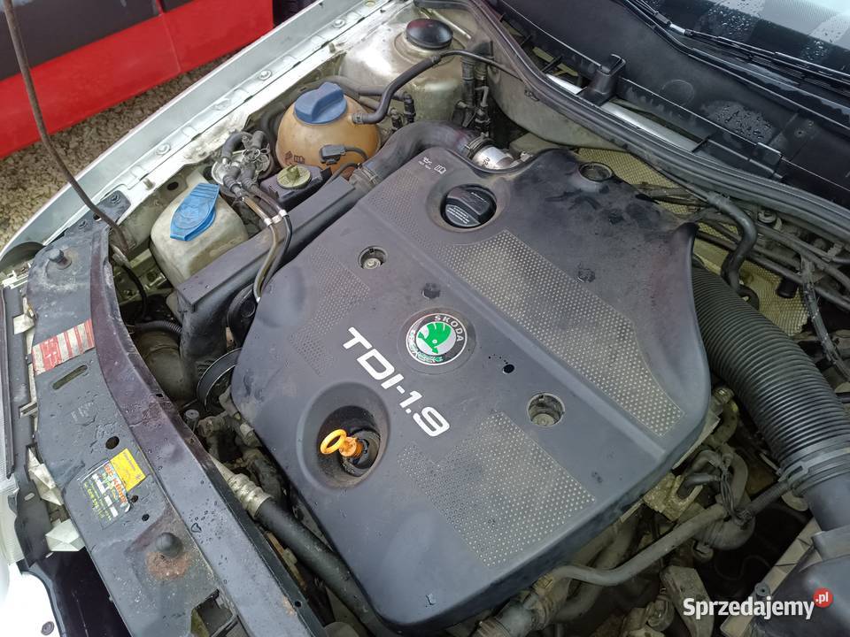 Octavia 4x4 1 9tdi Motoryzacja Skorzeszyce