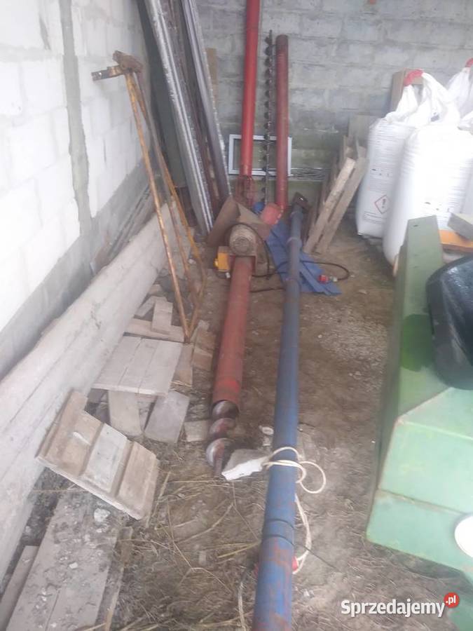 Zmijka przenosnik slimakowy Pamiętowo