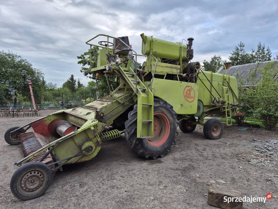Kobajn do fasoli claas matador gigant Claas lubelskie Modryń-Kolonia