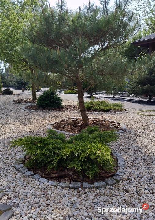 kamienie ozdobne ogrodowe grys otoczaki Pozostałe Szadów Księży