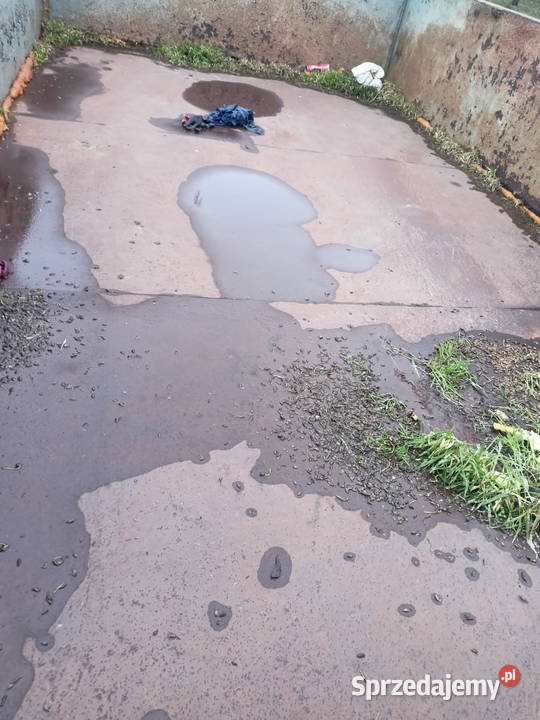 Przyczepa Autosan 45 tony Wojewodzin