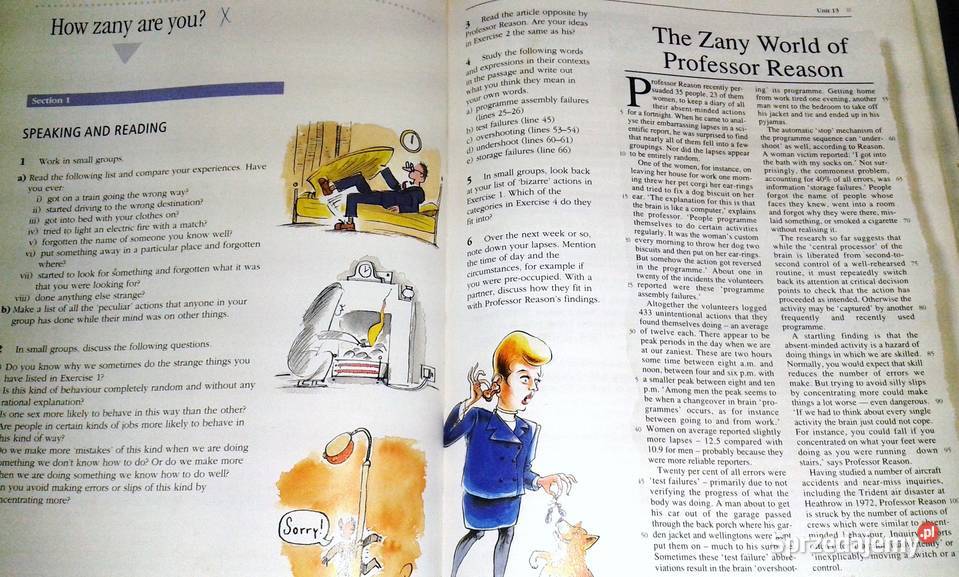 Language Issues Gillian PorterLadousse