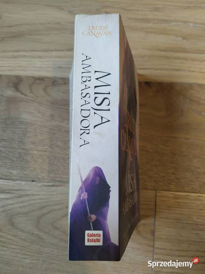 Misja ambasadora Trudi Canavan 2010 Stalowa Wola
