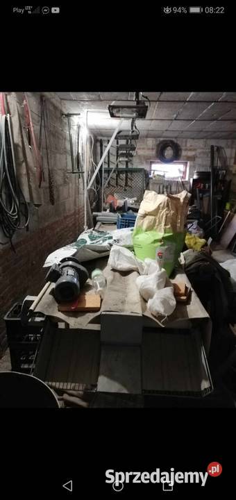 Tasmociag do różyczkowania brokula