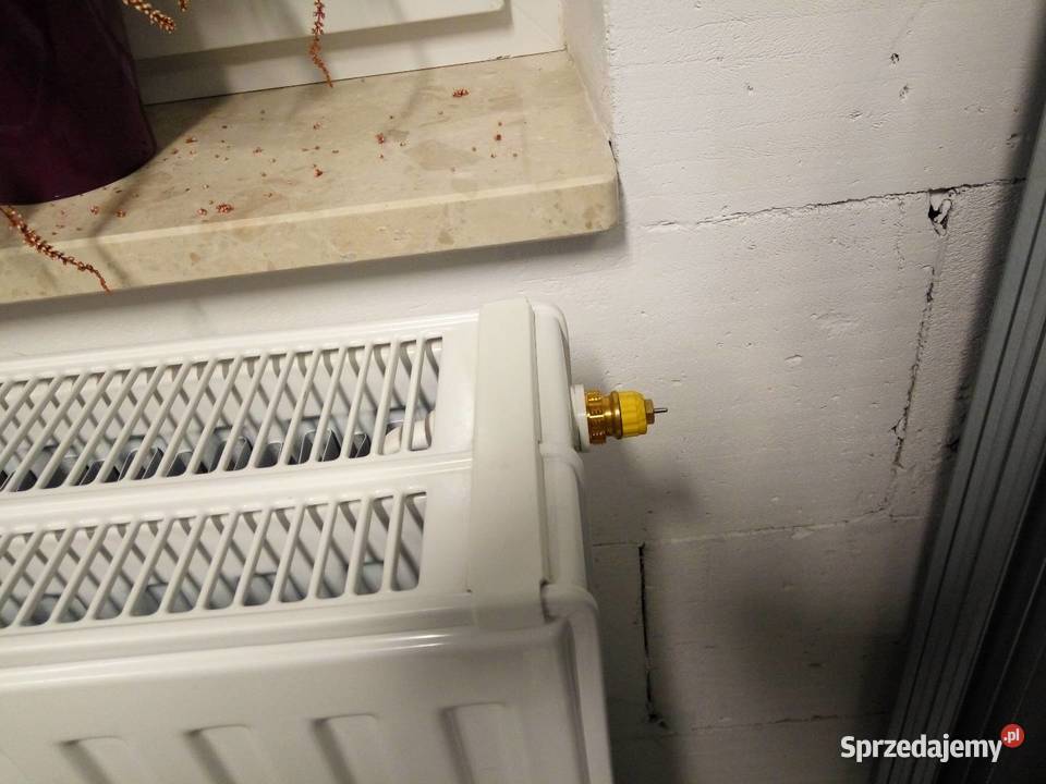 Sprzedam grzejniki 2 Warszawa