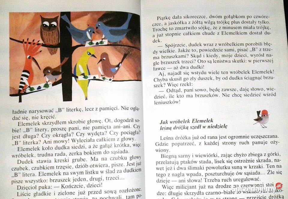 O wróbelku Elemelku Hanna Łochocka Zdzisław Chełm