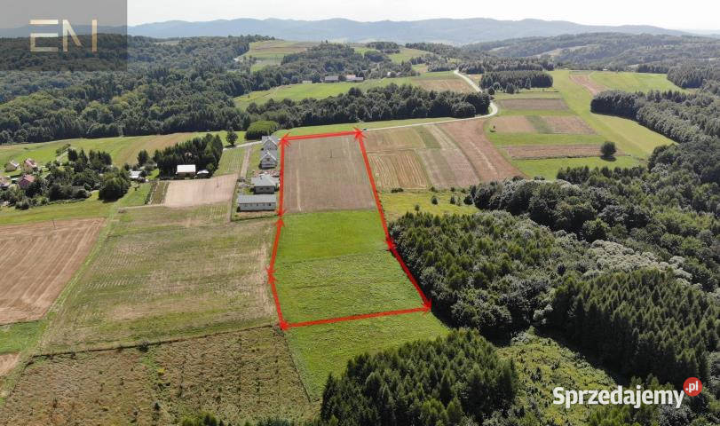 Ogłoszenie grunt Niewodna 14000m2
