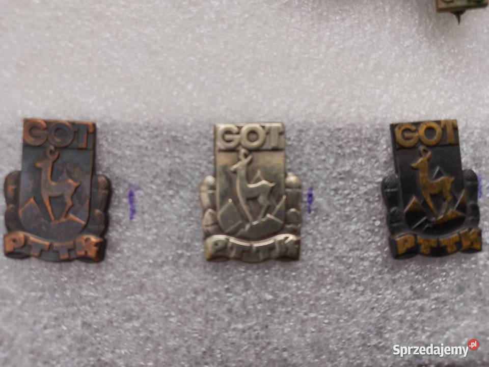 Duża Odznaka GOT Zabrze