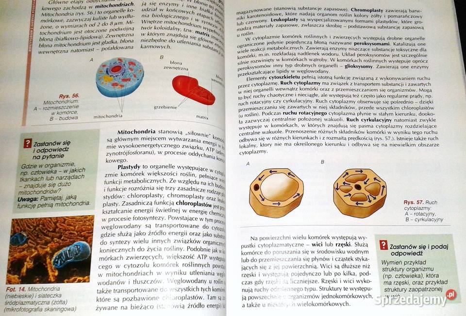 Biologia 1 A Kornaś Z Miszalski M Kłyś R Chełm