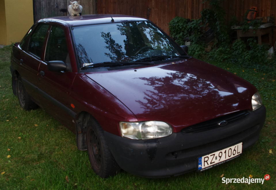 Ford escort z 1995 silnik benzynowy Budy Głogowskie sprzedam