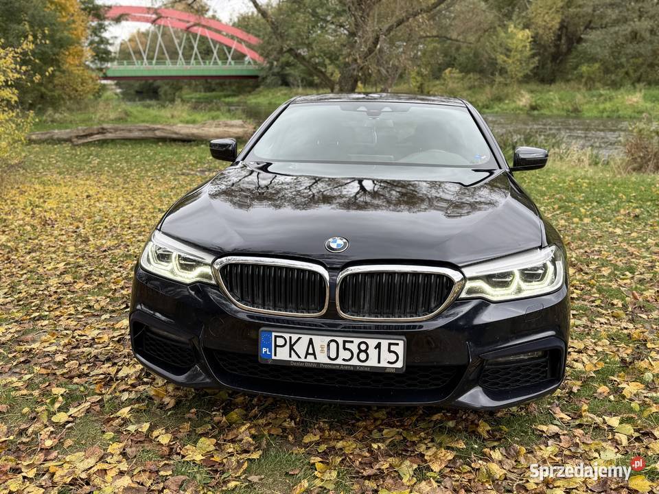 BMW 520 G30 2019 grudzień