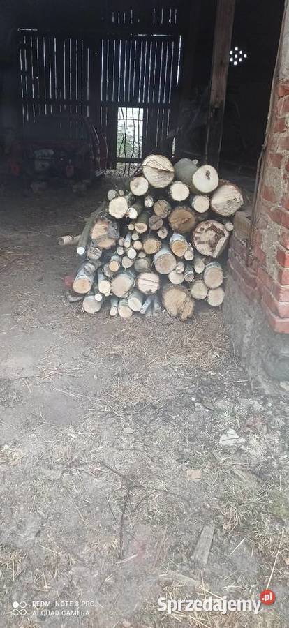 Sprzedam brzozę 3m3 Biała