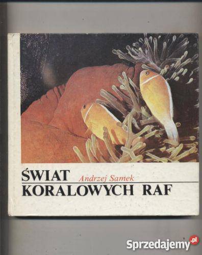 Świat koralowych raf
