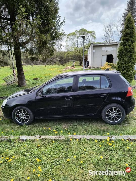 Volkswagen Golf V 19 TDI 2007 diesel podkarpackie Komańcza