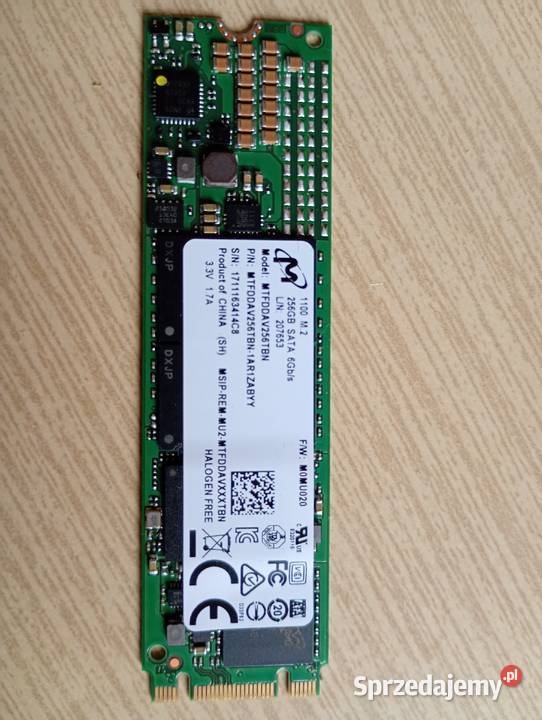 Dysk m 2 micron 1100 256 gb Wołomin