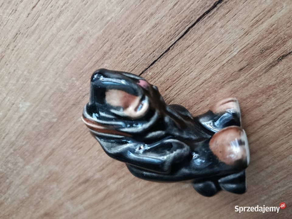 Pies baset niedźwiedźtuba fajka 1 przedmiot zachodniopomorskie Choszczno