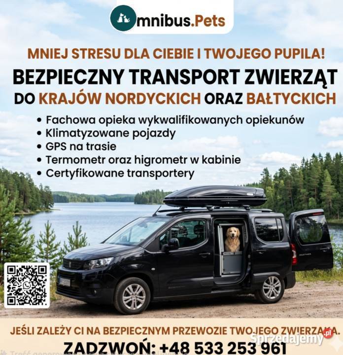 Transport psa i kota