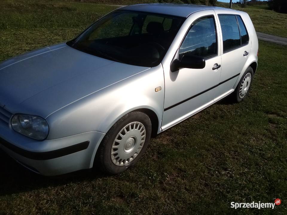 VW Golf 4 14 16v benzyna benzyna Golf małopolskie Dębno