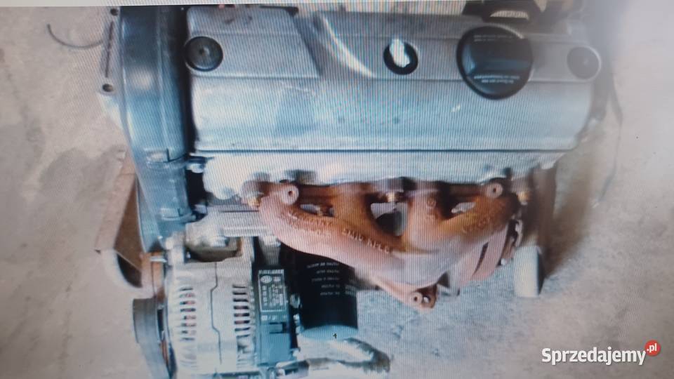 Silnik 14 8V 60 kod AEX Vw Polo Seat Ibiza Pozostałe wielkopolskie Rakoniewice