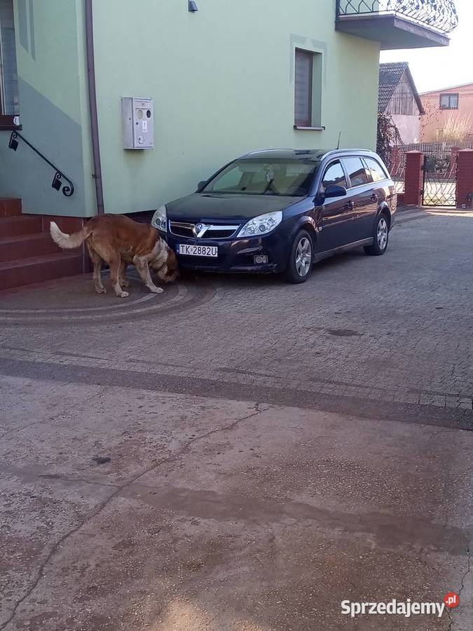 Vectra c Starachowice sprzedam