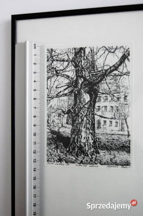 Drzewo grafika czarnobiała Agnieszka Paluch 1994 Dekoracje i ozdoby Lublin