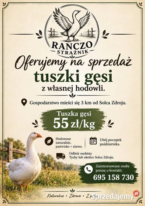 Tuszki gęsie Tychy