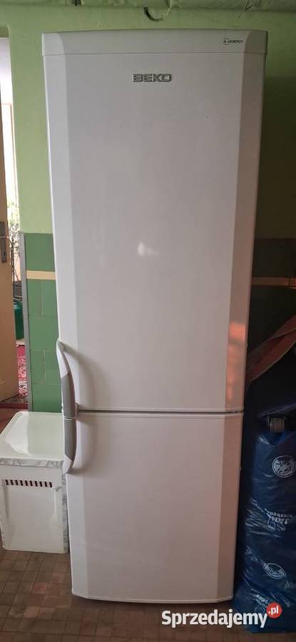 Lodówko zamrażalka BEKO wolnostojące śląskie Sosnowiec