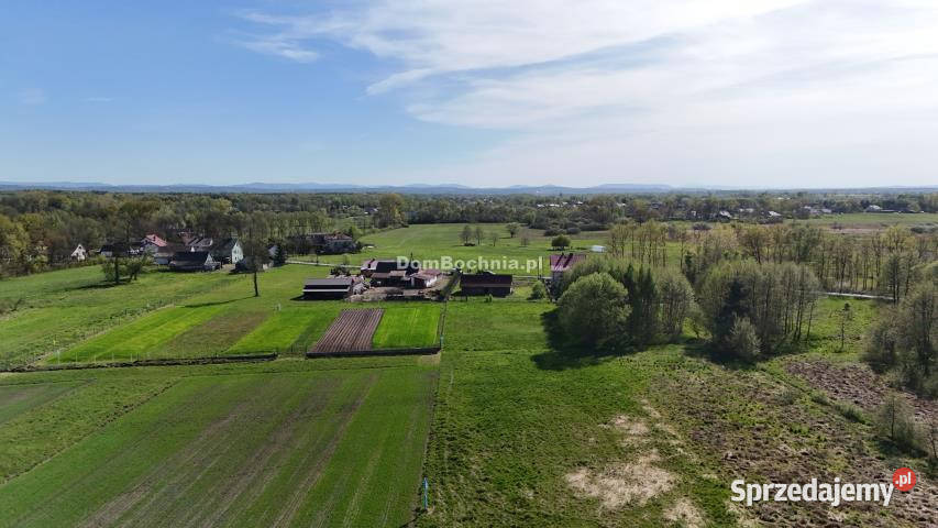 Grunt 13200m2 Dębina