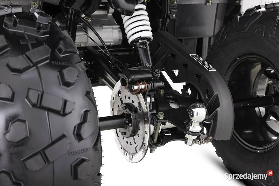 Dostawa Quad ASIX CHALLENGER 250 T3B Mocny Pozostałe Ciechanów