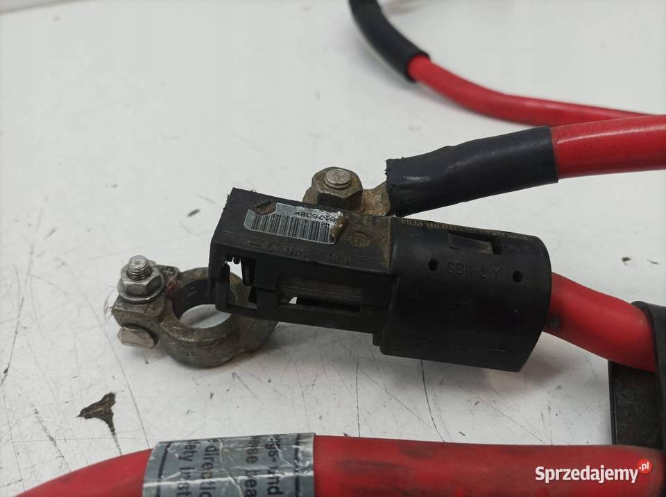 KLEMA PLUS AKUMULATORA 6904905 6904877 Bmw Seria świętokrzyskie
