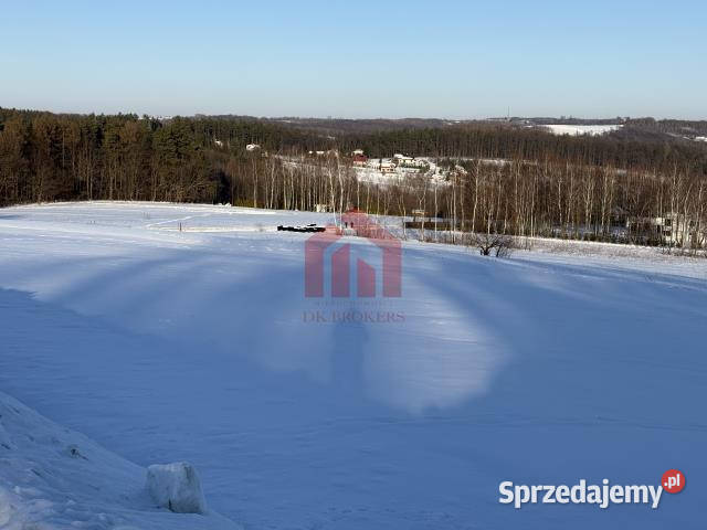 sprzedaży działki 3065m2 Chmielnik 188zł/m2 Sprzedaż podkarpackie