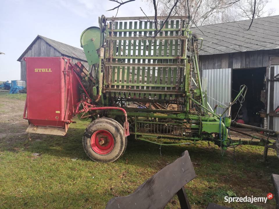 STOLL V50 Kombajn do buraków nieuszkodzony Suche Lipie