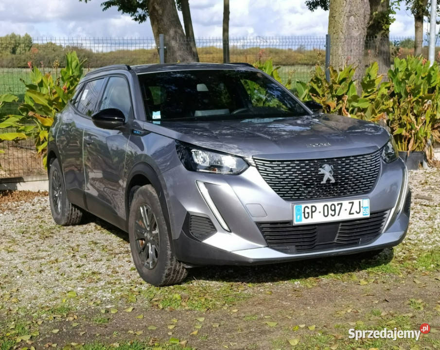 Peugeot 2008 2008 8 II 2019 wspomaganie kierownicy wielkopolskie Pleszew