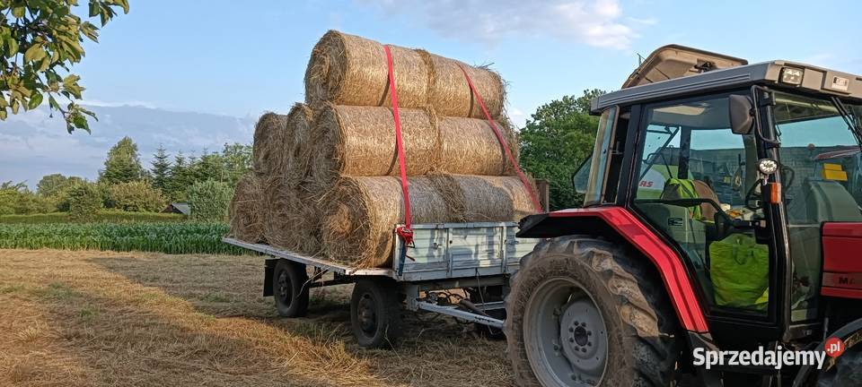 Siano baloty 100 małopolskie Maciejowice sprzedam
