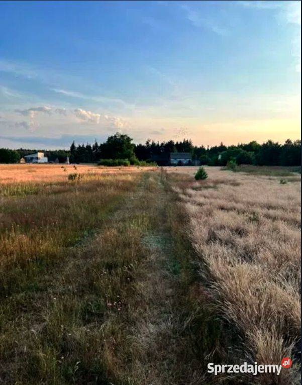 Działka budowlana Stęszów