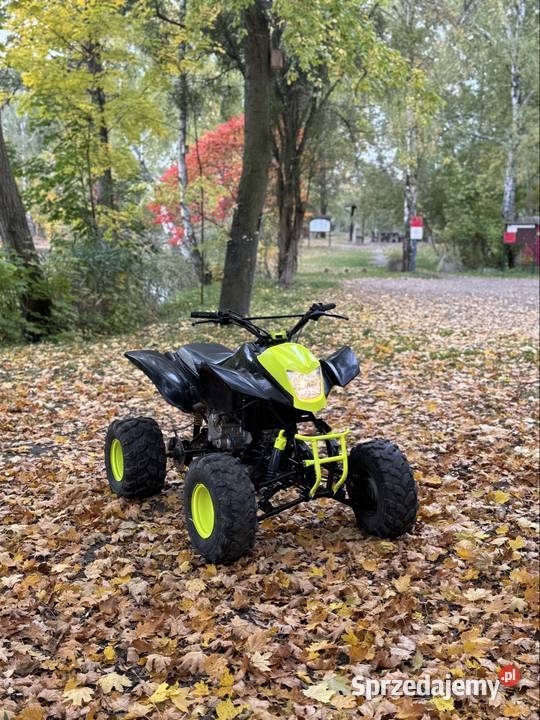 Quad Bashan 200 Loncin barrosa gruz 250 Opole sprzedam