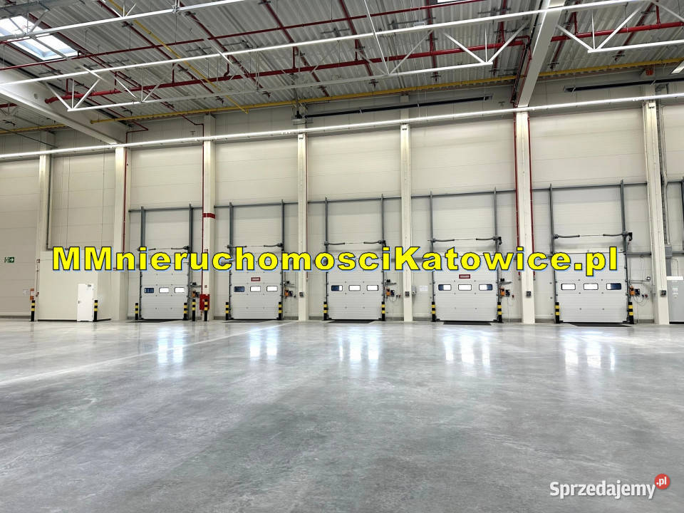Nowe magazyny do wynajęcia śląskie Mysłowice A4 parking Wynajem