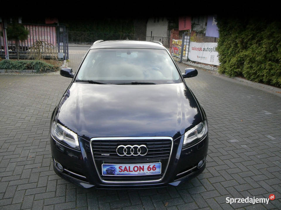 Audi A3 18 Qattro Led Xenon Bezwypadkowy Stan z ASR (kontrola trakcji) Częstochowa sprzedam