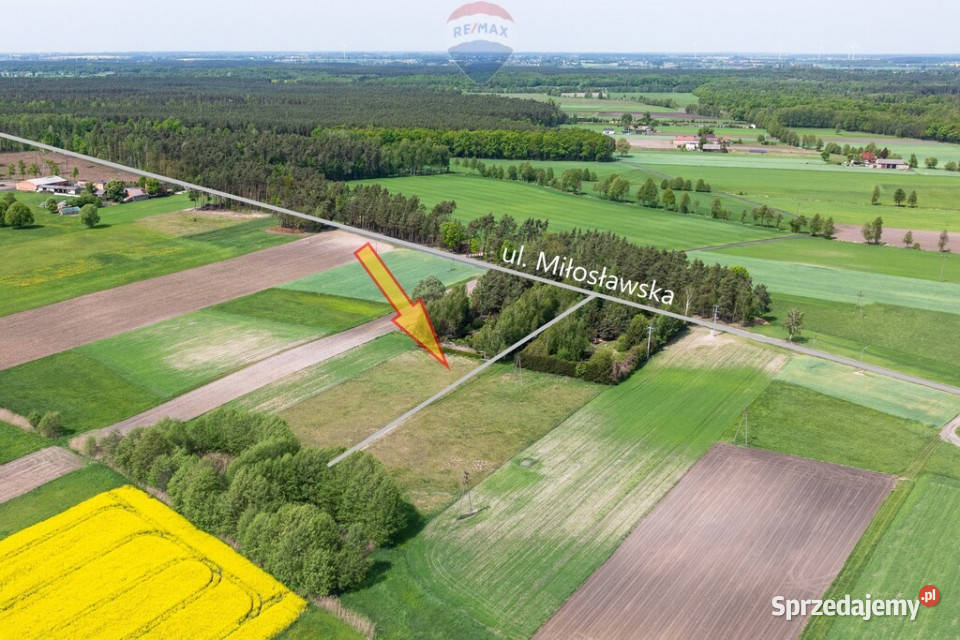 Wiosna malownicza spokojna okolica miniosiedle wielkopolskie Krzykosy sprzedam