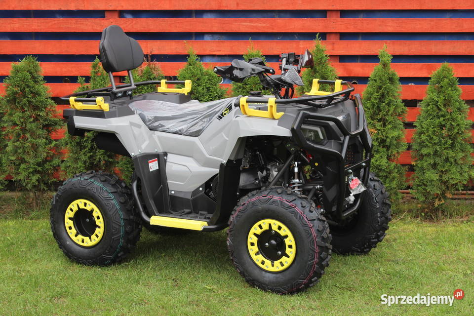 Quad 200 250 cc 4t Hammer Shinerau Bashan Goleniów