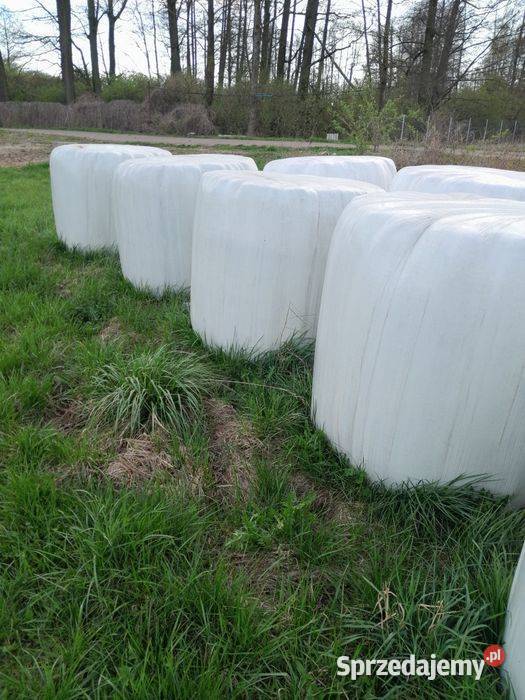 Sianokiszonka trawa z lucerną Krone dobrze zbita