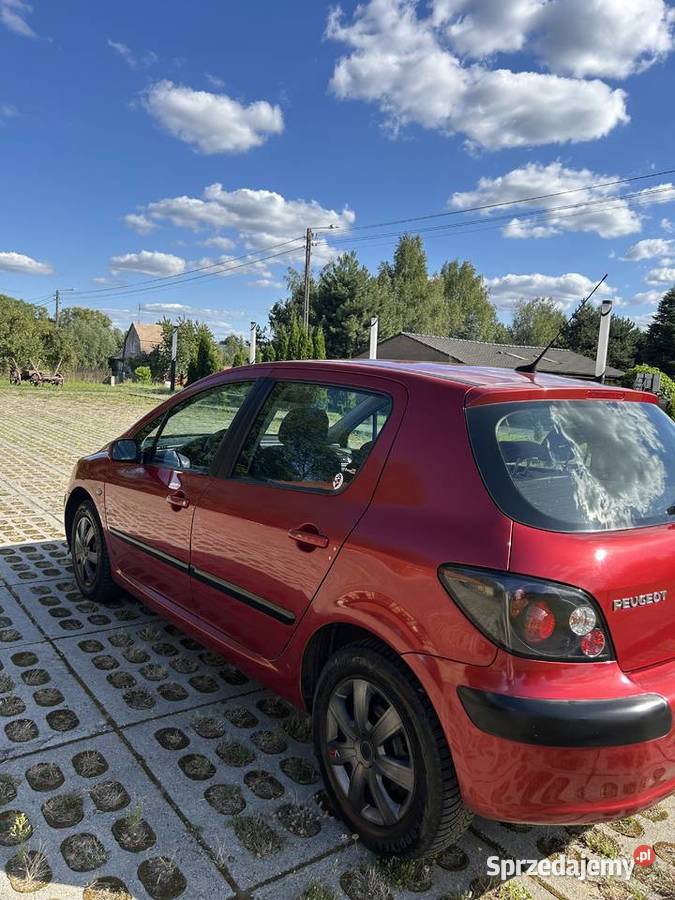 Zadbany Peugeot 307 20 HDI 326000km Peugeot dolnośląskie