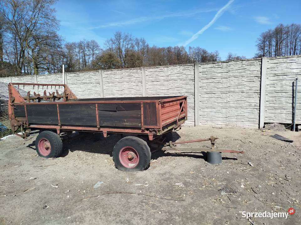 Rozrzutnik Piotrków Trybunalski