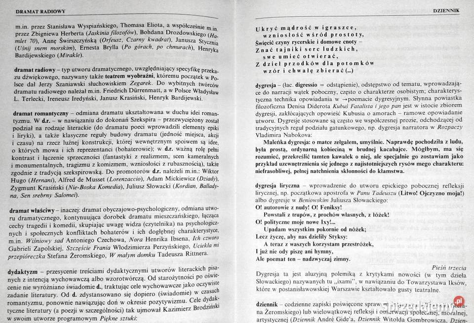 Słownik pisarzy lektur i terminów literackich Chełm