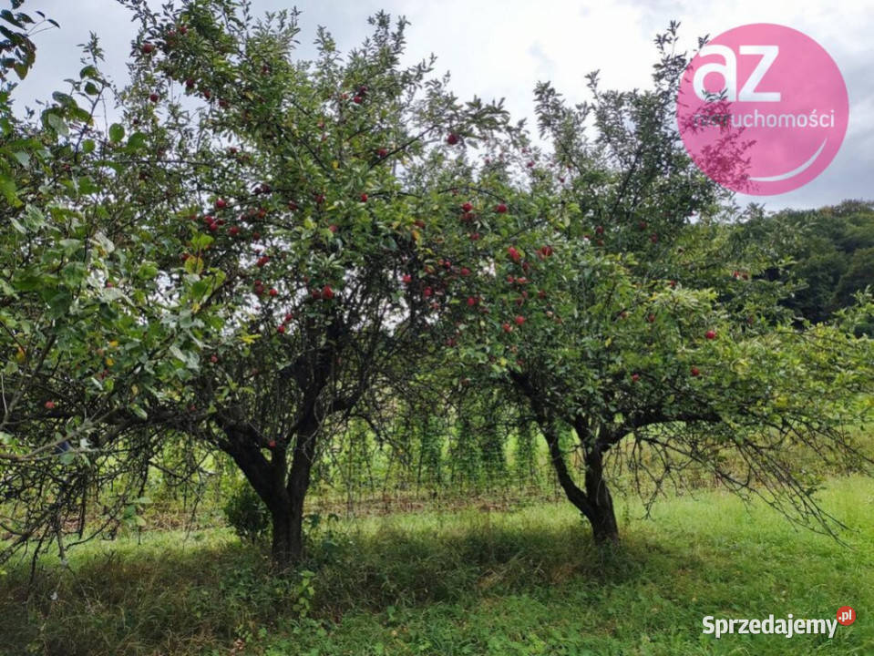 Działka budowlana w Rdziostowie gmina Chełmiec Rdziostów