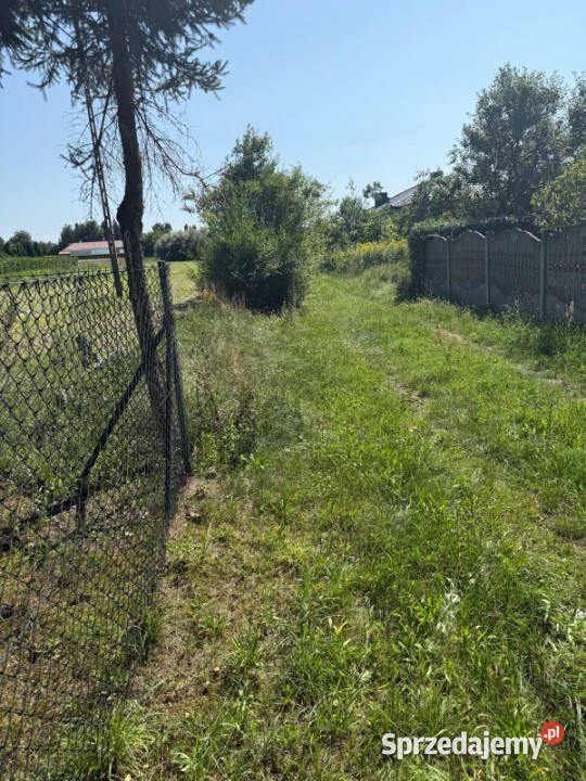 Sulęcinek Kopczynowo Leśna Bez pośrednika