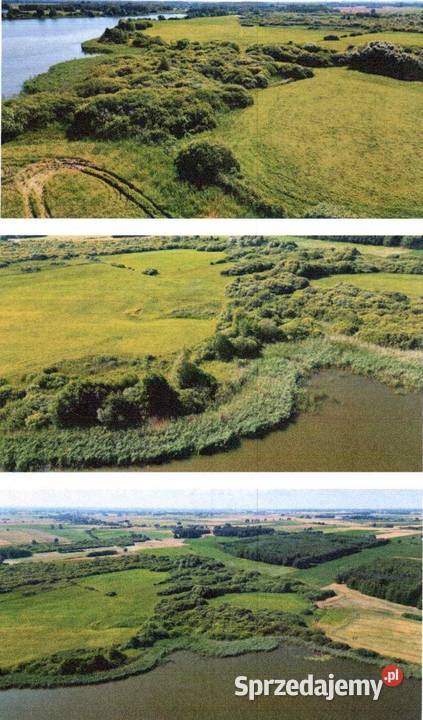 Udział 12 w nieruchomości niezabudowanej 12700ha kujawsko-pomorskie Orzechówko sprzedam