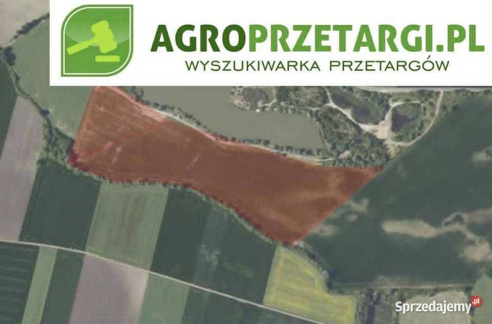 Dzierżawa 1734 ha gruntu rolnego Strzelno