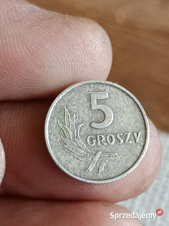 Sprzedam monete 5 groszy 1963 bbnm