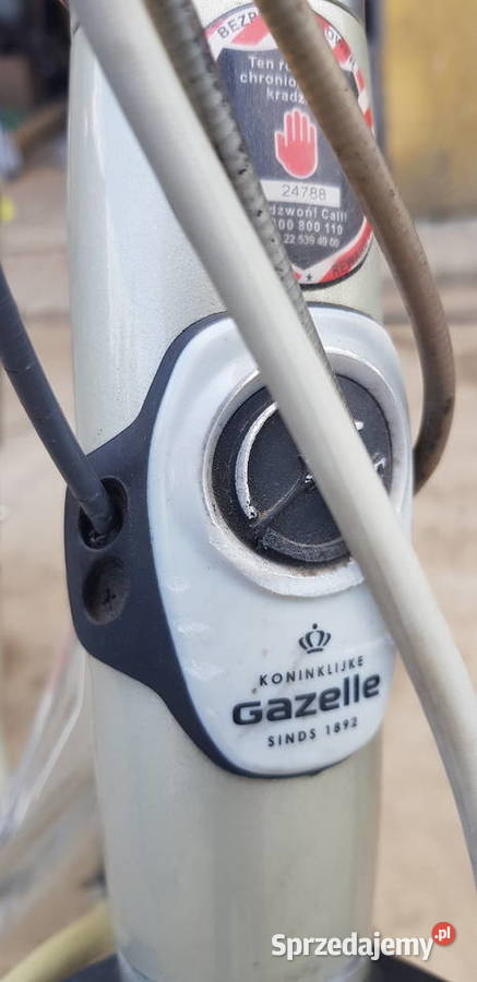 Rower Gazelle Gorzów Wielkopolski